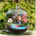 Mini Clear Ball Flower Hanging Glass Vase Planter Fish Tank Terrarium Bottle US   121990417284